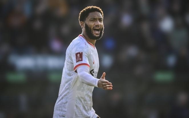 陈雨菲则试 陈雨菲则试